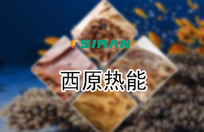 ��ԭ����