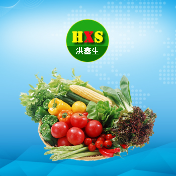 ģ��W(w��ng)վ����-ĳ��ʳ������˾�W(w��ng)վ����