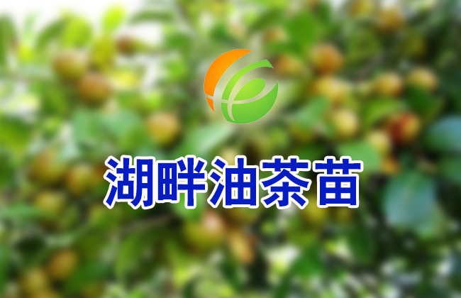 �ٶ�ָ��(sh��)1078���Ͳ��硱�������