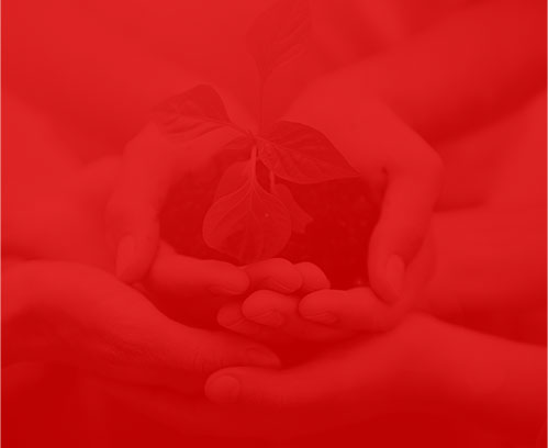 �|ݸ��ǧ�ȾW(w��ng)�j(lu��)�Ƽ����޹�˾